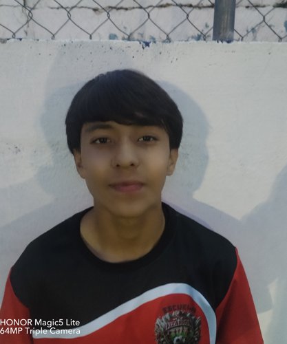 HAROLD VEGA