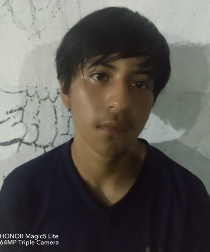 ALEXANDER